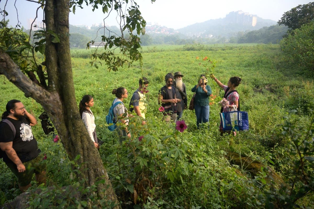 Indigenous Ecology & Wild Foods Workshop