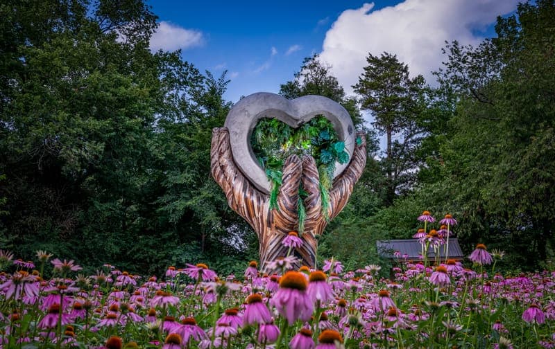 Compton Gardens & Arboretum