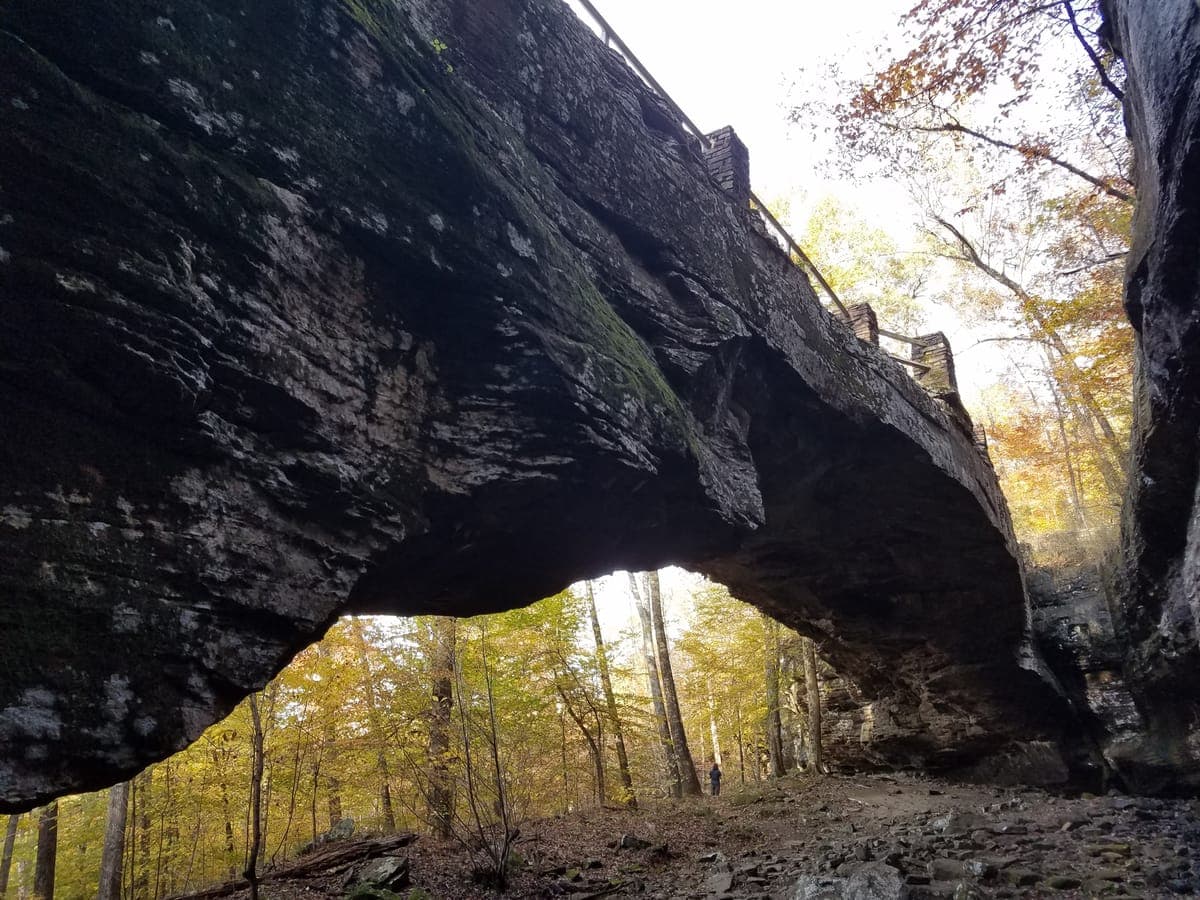 Alum Cove Natural Bridge